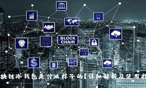 区块链冷钱包是什么样子的?详细解析及使用指南