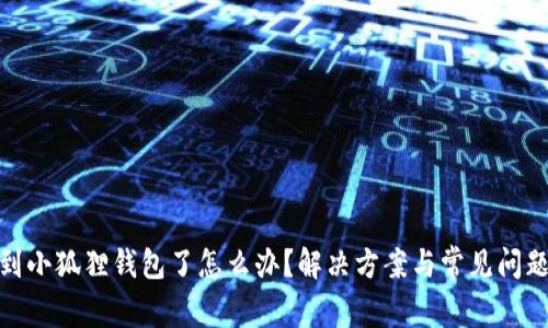 搜不到小狐狸钱包了怎么办?解决方案与常见问题解答