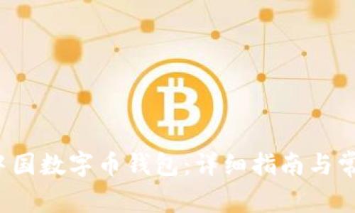 如何注册中国数字币钱包:详细指南与常见问题解答