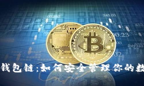 小狐狸钱包链:如何安全管理你的数字资产