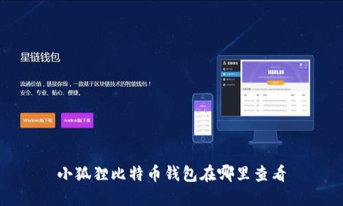 小狐狸比特币钱包在哪里查看