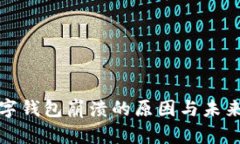 : 数字钱包崩溃的原因与未