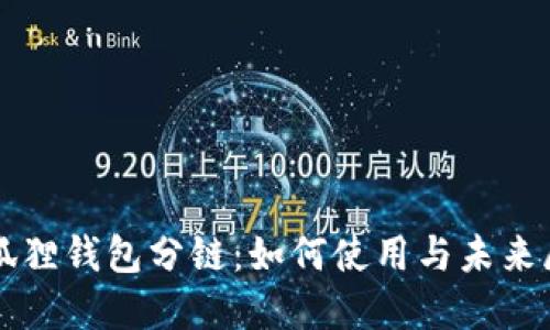 小狐狸钱包分链:如何使用与未来展望
