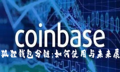 小狐狸钱包分链:如何使用与未来展望