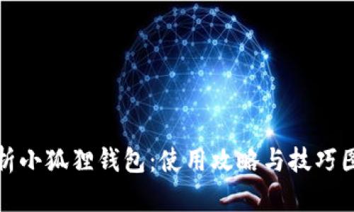 全面解析小狐狸钱包:使用攻略与技巧图文教程
