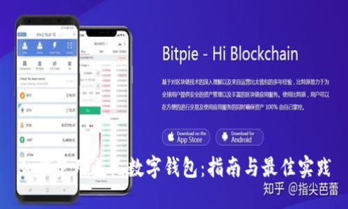 如何使用美元数字钱包:指南与最佳实践