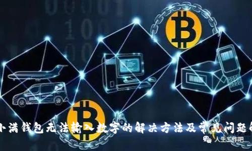 度小满钱包无法输入数字的解决方法及常见问题解析