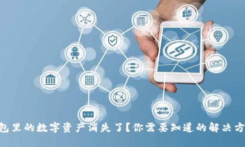 MetaMask钱包里的数字资产消失了?你需要知道的解决方案和预防措施