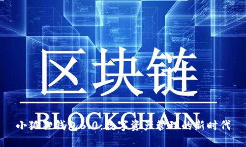 小狐狸钱包6.0:数字资产管理的新时代