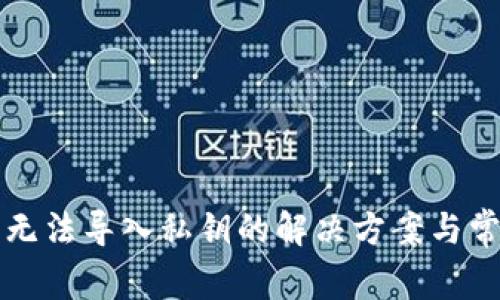 小狐狸钱包无法导入私钥的解决方案与常见问题解析