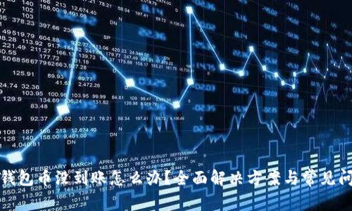 小狐狸钱包币没到账怎么办?全面解决方案与常见问题解答