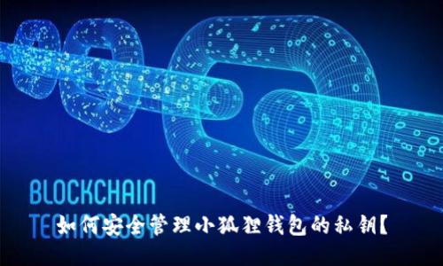 如何安全管理小狐狸钱包的私钥?