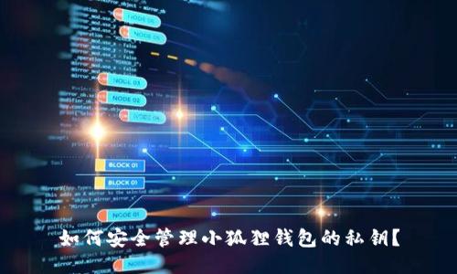 如何安全管理小狐狸钱包的私钥?