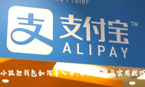 小狐狸钱包如何导入币:详细步骤与实用技巧