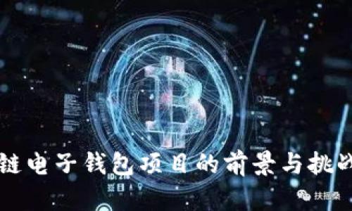 区块链电子钱包项目的前景与挑战分析