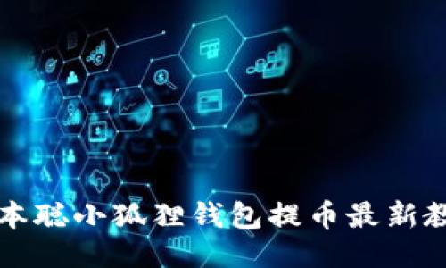 中本聪小狐狸钱包提币最新教程