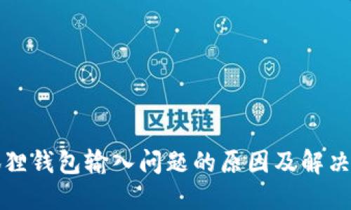 小狐狸钱包输入问题的原因及解决方案