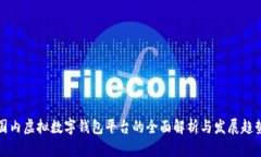 国内虚拟数字钱包平台的