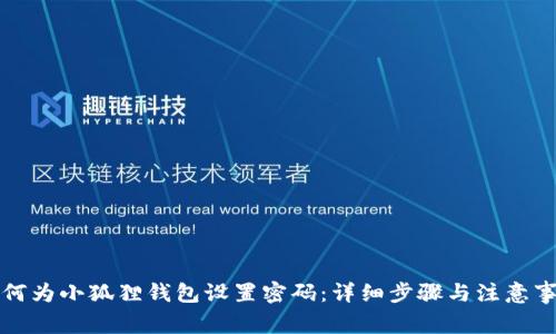 如何为小狐狸钱包设置密码:详细步骤与注意事项
