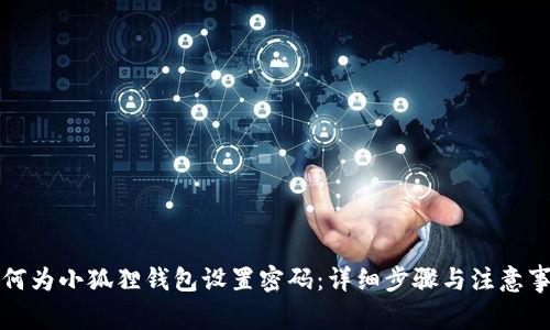 如何为小狐狸钱包设置密码:详细步骤与注意事项