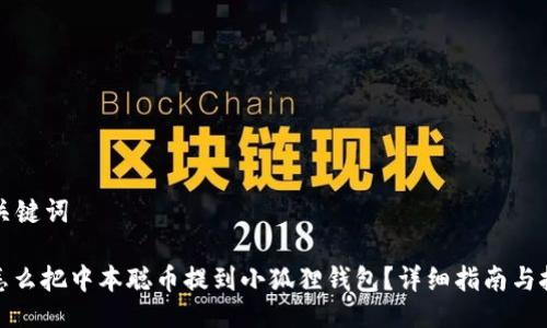 与关键词
: 怎么把中本聪币提到小狐狸钱包?详细指南与技巧
