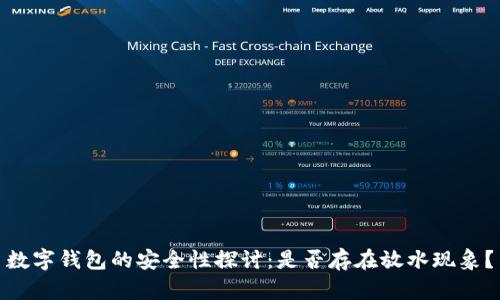 数字钱包的安全性探讨:是否存在放水现象?