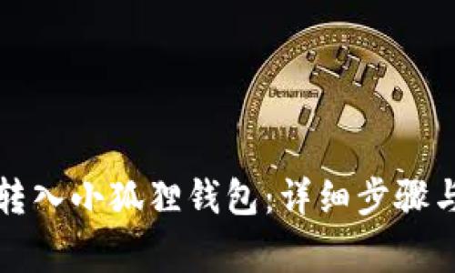如何将币转入小狐狸钱包:详细步骤与注意事项