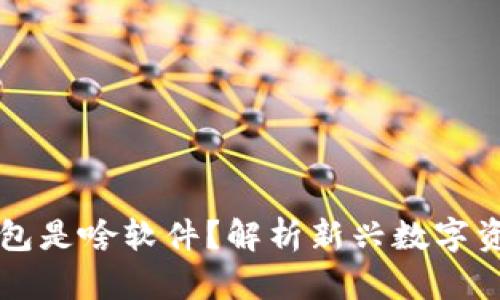量化数字钱包是啥软件?解析新兴数字资产管理工具