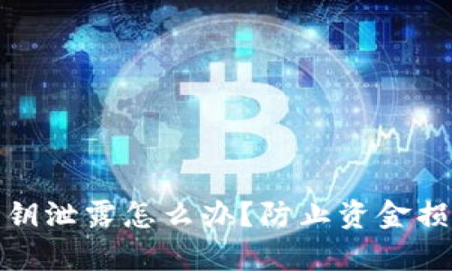 小狐狸钱包密钥泄露怎么办?防止资金损失的有效措施