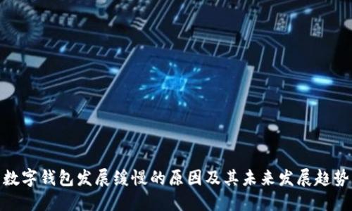 数字钱包发展缓慢的原因及其未来发展趋势