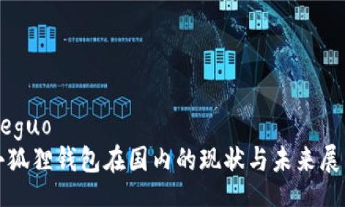 jieguo
小狐狸钱包在国内的现状与未来展望