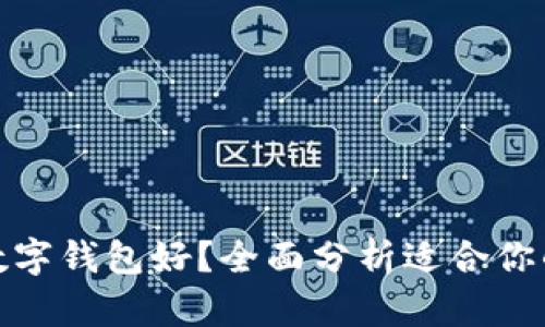 哪款数字钱包好?全面分析适合你的选择