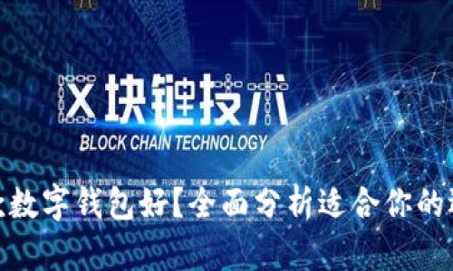 哪款数字钱包好?全面分析适合你的选择