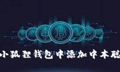 如何在小狐狸钱包中添加中本聪(BTC)?
