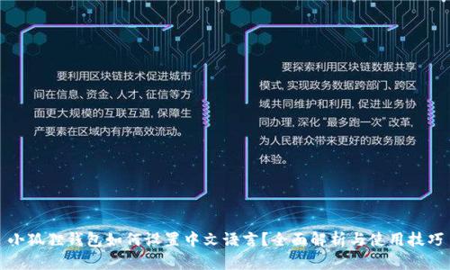 小狐狸钱包如何设置中文语言?全面解析与使用技巧