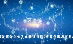 如何使用命令恢复区块链