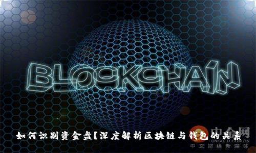 如何识别资金盘?深度解析区块链与钱包的关系