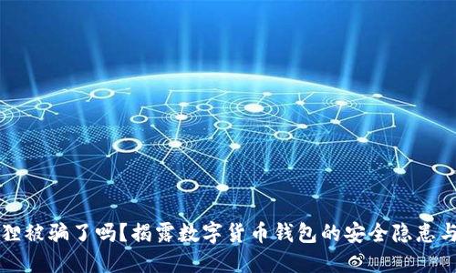 钱包小狐狸被骗了吗?揭露数字货币钱包的安全隐患与防骗技巧