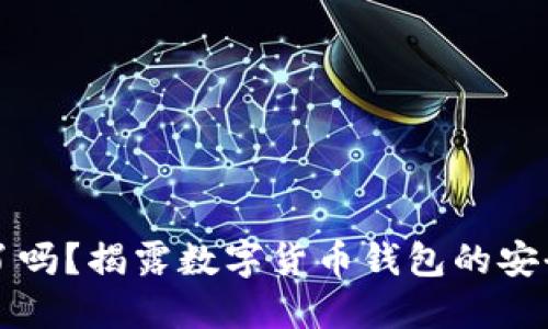 钱包小狐狸被骗了吗?揭露数字货币钱包的安全隐患与防骗技巧