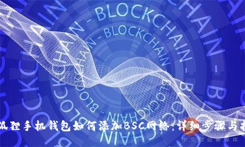 小狐狸手机钱包如何添加BSC网络:详细步骤与指南