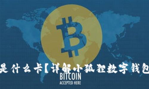 数字钱包小狐狸是什么卡?详解小狐狸数字钱包功能与使用技巧