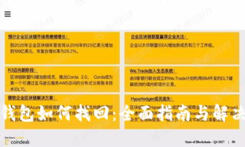 数字钱包如何找回:全面指南与解决方案
