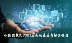 小狐狸钱包USDT丢失的原因