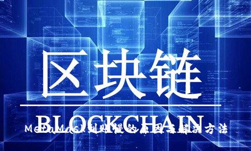 MetaMask到账慢的原因与解决方法