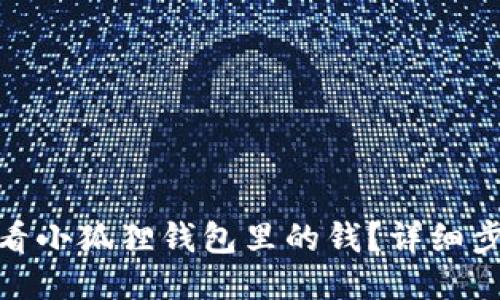 : 如何查看小狐狸钱包里的钱?详细步骤与技巧