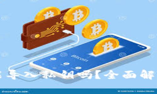 小狐狸钱包能导入私钥吗?全面解析与使用指南