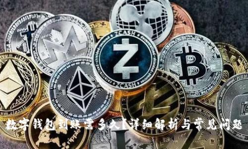数字钱包到账需多久?详细解析与常见问题