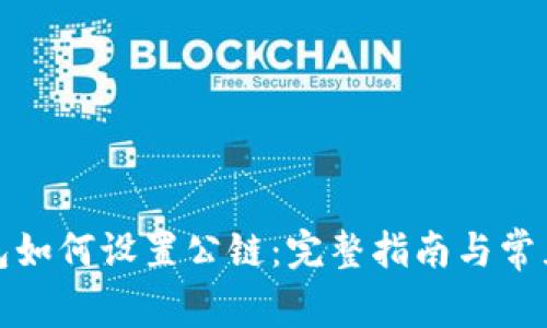 小狐狸钱包如何设置公链:完整指南与常见问题解答