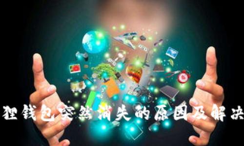 小狐狸钱包突然消失的原因及解决办法