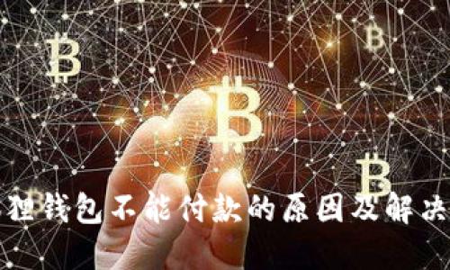 小狐狸钱包不能付款的原因及解决方案